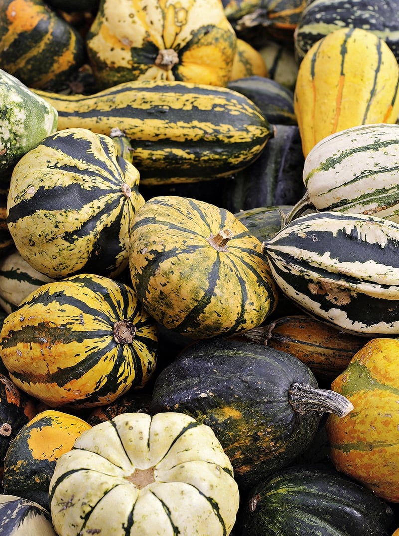 Healthy Food Awareness
