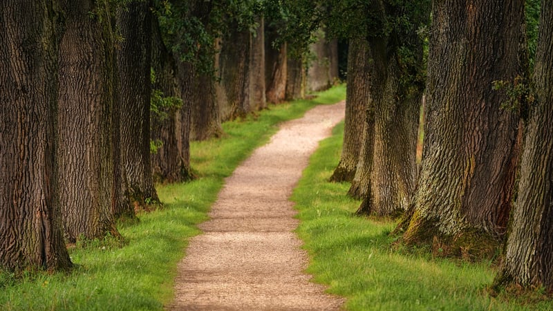 Hiking in nature
